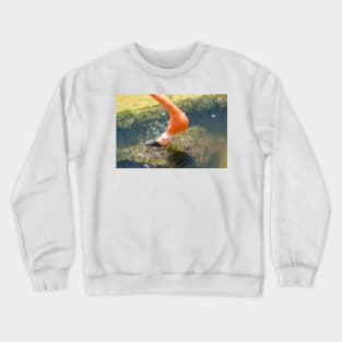 Flamingo head Crewneck Sweatshirt